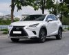 Lexus NX 300 2019 - Xe màu trắng, xe nhập