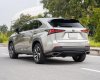 Lexus NX 300 2020 - Màu xám, nhập khẩu số tự động