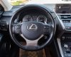 Lexus NX 300 2017 - Màu trắng, xe nhập số tự động