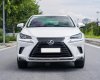 Lexus NX 300 2019 - Xe màu trắng, xe nhập