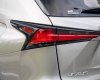 Lexus NX 300 2020 - Màu xám, nhập khẩu số tự động