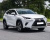 Lexus NX 300 2019 - Xe màu trắng, xe nhập