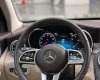 Mercedes-Benz GLC 300 2019 - Xe gia đình giá 1 tỷ 880tr