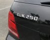Mercedes-Benz GLK 250 2014 - Xe 1 chủ đi giữ gìn