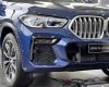 BMW X6 2022 - Ưu đãi cực lớn 300tr tiền mặt + phụ kiện chính hãng BMW sẵn xe tại showroom giao ngay