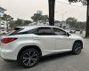 Lexus RX 300 2018 - Trung Sơn Auto bán xe siêu mới