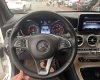 Mercedes-Benz GLC 250 2017 - Xe cực đẹp