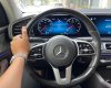 Mercedes-Benz GLS 450 2019 - Siêu lướt