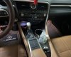 Lexus RX 300 2020 - Xe cọp