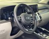 Kia Sorento 2020 - Salon chào bán chiếc xe biển thành phố
