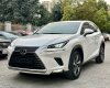 Lexus NX 300 2019 - Biển tỉnh