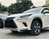 Lexus NX 300 2019 - Biển tỉnh