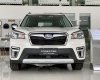 Subaru Forester 2022 - Giảm 289 triệu, xe sẵn giao ngay tại Subaru Minh Thanh Phú Mỹ