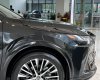 Lexus RX 350 2023 - Có sẵn tại showroom