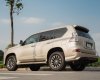 Lexus GX 460 2016 - Lên nhiều đồ chơi