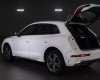 Audi Q5 2023 - Đủ màu, sẵn xe giao ngay