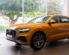 Audi Q8 2023 - Liên hệ Hotline ngay để nhận ưu đãi khủng T5.6/2023