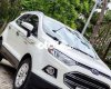Ford EcoSport   Titanium 2017 cực đẹp giá tốt 2017 - Ford Ecosport Titanium 2017 cực đẹp giá tốt