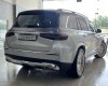Mercedes-Benz GLS 450 2021 - Tặng ngay gói chăm sóc xe và phủ Ceramic cao cấp