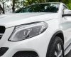 Mercedes-Benz GLE 400 2018 - Giá 2 tỷ 260 triệu