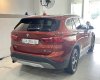 BMW X1 2019 - Model 2019 (thiết kế trẻ trung)