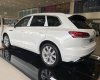 Volkswagen Touareg 2023 - Volkswagen Touareg Luxury 2023 - Hỗ trợ 100% phí trước bạ + Kèm khuyến mãi tiền mặt lên tới 100Tr