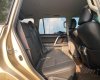 Toyota Land Cruiser Prado 2013 - Toyota Land Cruiser Prado 2013 tại Hà Nội
