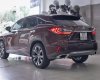 Lexus RX 300 2019 - Màu nâu / nội thất kem