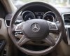 Mercedes-Benz GL 350 2016 - Hàng sưu tầm hiếm