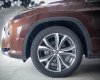 Lexus RX 300 2019 - Màu nâu / nội thất kem