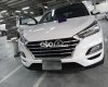 Hyundai Tucson Bán xe   2.L dầu đặc biệt trắng 2021 - Bán xe Hyundai Tucson 2.L dầu đặc biệt trắng