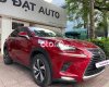 Lexus NX 300   300 2019 siêu mới 2019 - LEXUS NX 300 2019 siêu mới