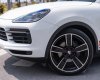 Porsche Cayenne 2020 - Odo 3,2 vạn km