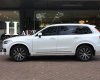 Volvo XC90 2021 - Siêu lướt
