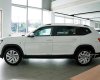 Volkswagen Tiguan 2023 - Giảm thêm 200-300tr khi liên hệ Hotline phía dưới