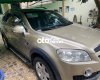 Chevrolet Captiva  LTZ 2.4 màu vàng cát 2007 2007 - Captiva LTZ 2.4 màu vàng cát 2007