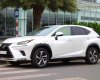 Lexus NX 300 🇯🇵   300 2019. 2018 - 🇯🇵 Lexus NX 300 2019.