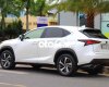 Lexus NX 300 🇯🇵   300 2019. 2018 - 🇯🇵 Lexus NX 300 2019.