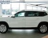 Volkswagen Teramont 2023 - Volkswagen Teramont 2023 ưu đãi giảm liền 300 triệu 