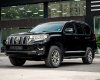 Toyota Land Cruiser Prado 2019 - Bên em hỗ trợ 70% giá trị xe