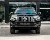 Toyota Land Cruiser Prado 2019 - Bên em hỗ trợ 70% giá trị xe