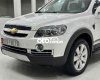 Chevrolet Captiva  LTZ 2011 đúng 42.000km. Cực mới 2011 - Captiva LTZ 2011 đúng 42.000km. Cực mới