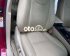 Lexus RX 450   450H 2010 - LEXUS RX 450H