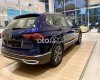 Volkswagen Tiguan   2.0TSI 2021 Xanh Dương - BÁN GẤP 2021 - VOLKSWAGEN TIGUAN 2.0TSI 2021 Xanh Dương - BÁN GẤP