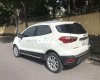 Ford EcoSport  titanium 2021 - Ecosport titanium