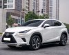 Lexus NX 300 2019 - Hỗ trợ vay tối đa 70% xe