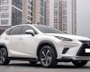 Lexus NX 300 2019 - Hỗ trợ vay tối đa 70% xe