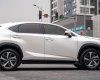 Lexus NX 300 2019 - Hỗ trợ vay tối đa 70% xe