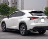 Lexus NX 300 2019 - Hỗ trợ vay tối đa 70% xe