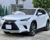 Lexus NX 300 2019 - GIÁ 1 tỷ 790 tr